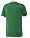 adidas MEXICO NATIONAL SOCCER TEAM 2016 COPA AMERICA MEN'S HOME JERSEY