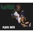 Playa Hata