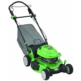Lawn-Boy/Toro 10683 6.5 HP Lawn-Boy Silver Series Push Mower