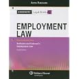 Casenotes Legal Briefs Employment Law: Keyed to Rothstein and Liebman (Casenote Legal Briefs) by Casenotes and Casenote Legal Briefs