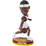 NBA Miami Heat Lebron James Court Base Bobble Home