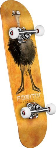 Spring 2012 Rodney Jones Animal Series Ostrich Neck Complete Board From Positiv - POSITIV Rodney Jones Ostrich Neck Complete Skateboard (Orange, 7.625-Inch)