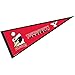 Youngstown State Penguins Pennant Full Size Felt