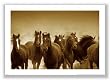 The Meeting by Tony Stromberg 16"x24" Art Print Poster