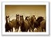 The Meeting by Tony Stromberg 16"x24" Art Print Poster