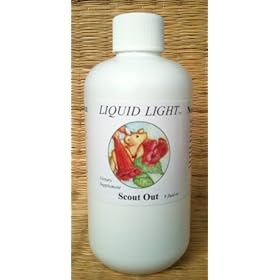Scout Out 8 Oz Colds, Flu, Coughing, Respiratory, Bronchitis, Ear Infection, Repiratory, Fever, Congestion. Child Safe.too. Used Safely and Effectively for Over 20 Years.