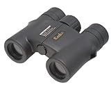 Kenko 双眼鏡 NEWSG 10倍 10X25 DH WP 完全防水