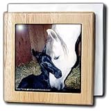 Andalusian Mare and Foal - 6 Inch Tile Napkin Holder