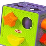Playskool Busy Basics Form Fitter (Colors May Vary)
