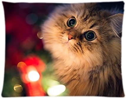 Twothird Cute Beautiful Lovely Cat On Pray Decorative Cushion Cover For Couch Car Pillowcase Sofa Chair Seat Throw Pillow Cover, 20x26 Inch(Twin Sides)