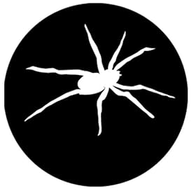Spider 2