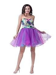 Sweetheart Cocktail Organza Bubble Dress Mini Dress 