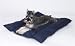 KH Manufacturing 19 x 24 Thermo Bed with Blue Cotton Cover