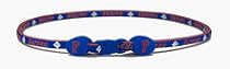 Florida Gators NCAA Titanium Necklace