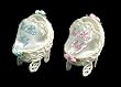 Club Pack of 12 Crocheted Baby Boy & Girl Carriage Christmas Ornaments