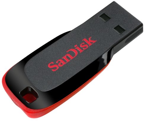 SanDisk® Cruzer® BladeTM USB flash drive 4GB (SDCZ50-004G-A95 ...