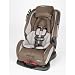 Safety 1st All-In-One Convertible Car Seat - Monument
