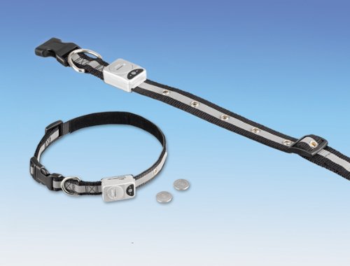 STARLIGHT LED Hundehalsband
