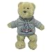 New York Yankees 2009 World Series Champs 8'' Fuzzy Hoody Bear