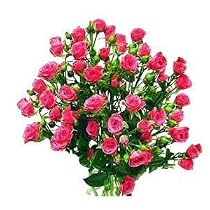 Pink Spray Roses Bouquet