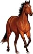Bay Horse Auto/ Truck/ Safe Magnetic Art