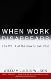 Urban marginality : America's cities and neighbourhoods in transition
