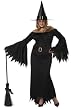 Elegant Witch Adult Plus Costume - Plus (16-22) - Adult Costumes