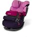 Cybex 2012