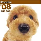THE DOG Artlist - Poodle 2008 Calendar