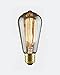 30 Watt - Vintage Antique Bulb - S21 Edison Style - Hand Wound Tungsten Filament - Multiple Supports - Clear