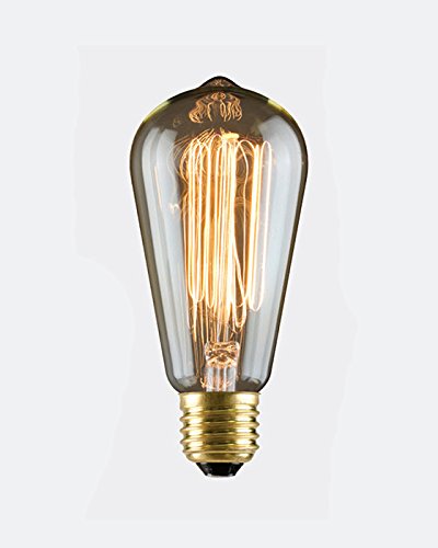 30 Watt - Vintage Antique Bulb - S21 Edison Style - Hand Wound Tungsten Filament - Multiple Supports - Clear