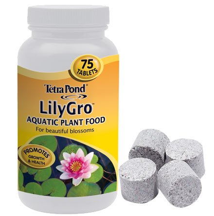 Tetra Lily Gro Tablets (75)