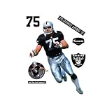 Raiders - Fathead NFL Players - Long, Howie
