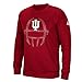 NCAA Men's Sideline Helmet Dot Climawarm Team Issue Crew Sweatshirt