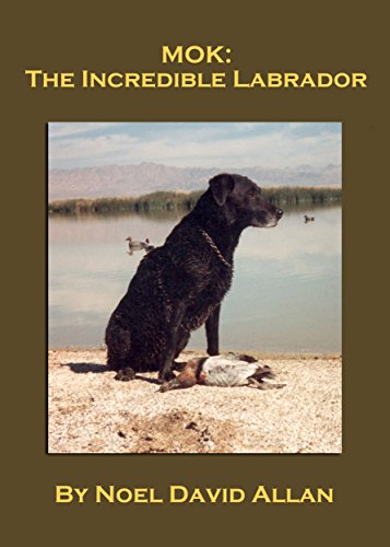 MOK: The Incredible Labrador, by Noel David Allan