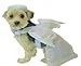 poodle39 - Angel Dress Up Dog Halloween Costume Size Extra