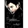 Twilight Movie Poster (Edward, Dark) Full Size Print