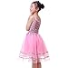 Anleolife Kids Girl Tutu Skirts Dance Ballet Princess Birthday Tutus Dress Gift Party (small, pink)