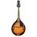 J. Reynolds JRMAN10 Mandolin - Tobacco Sunburst