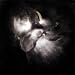 In a Dim Light [Vinyl LP]