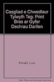 Casgliad o chwedlau'r tylwyth teg