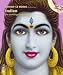 Bollywood Bücher - Edition Le Monde diplomatique 07. Indien: Die barfüßige Großmacht