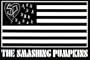 (24x36) Smashing Pumpkins (American Flag) Music Poster Print
