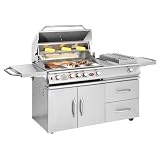 Cal Flame 32 Inch 4 Burner Convection Propane Gas Grill On Cart With Single Side Burner