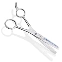 6-1/2 Inch Salon Double Side Thinning Shears - Ice-Tempered