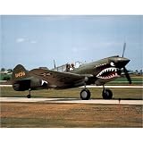 (16x20) P-40 Warhawk (On Ground) Art Poster Print