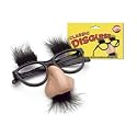 Classic Disguise Glasses