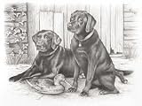 Review Oasis PPSK4 / Reeves - Sketching By Numbers Black Labradors