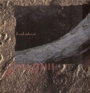 David Sylvian Photo 19