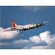 (16x20) B-17 (In Air) Art Poster Print
